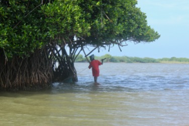 A fisherman looking for crabs in the swamp